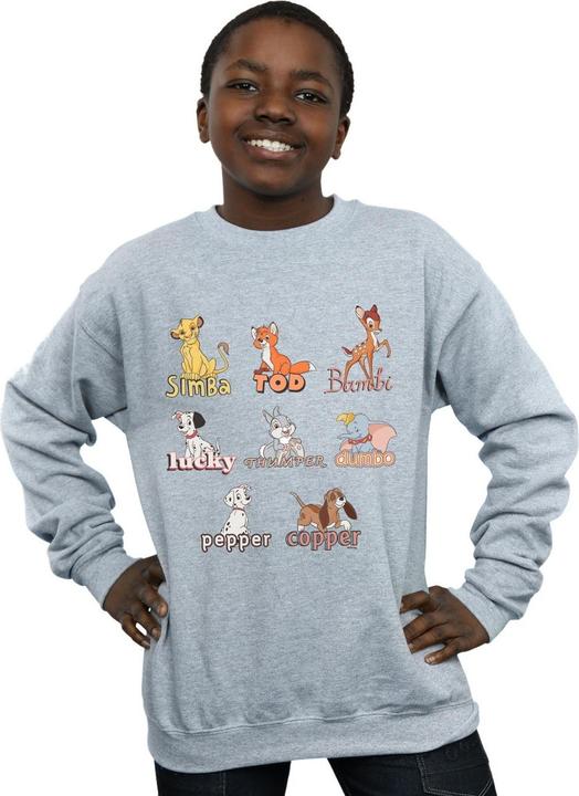 Produktbild Disney Little Friends Animals Sweatshirt Jungen (140, 146)