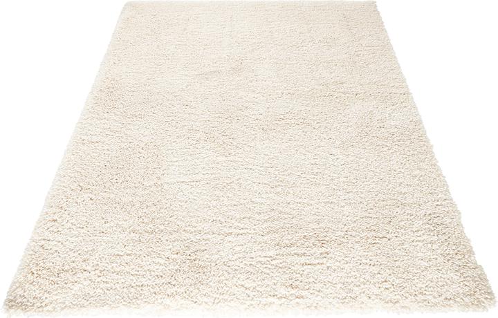 Actual product image Mint Rugs Venice (150 x 80 cm)