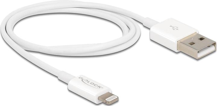Immagine prodotto Delock Cavo di ricarica USB per iPhone 15 cm bianco (0.15 m, USB 2.0)
