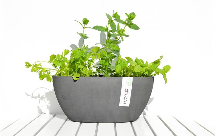 Actual product image Ecopots Sofia (13 cm)