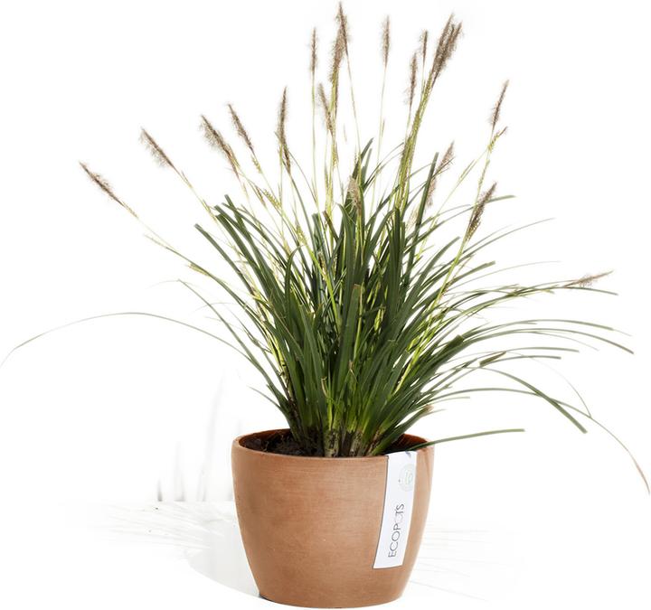 Immagine prodotto Ecopots Stoccolma