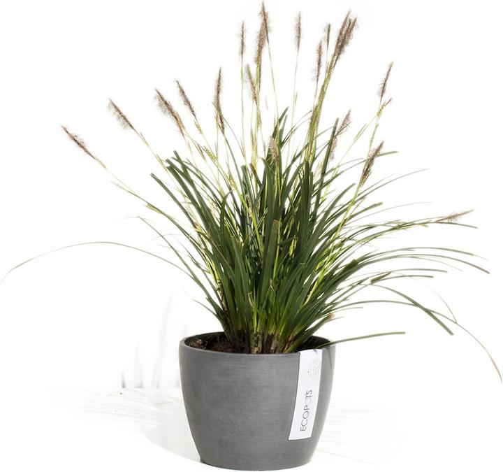 Produktbild Ecopots Stockholm (16 cm)