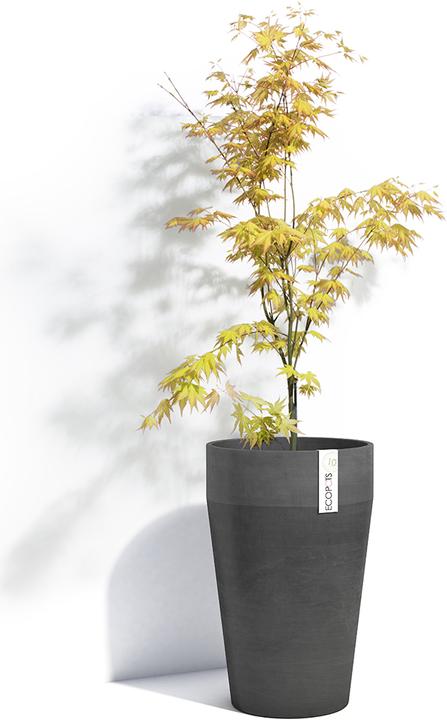 Image du produit Ecopots Sankara
