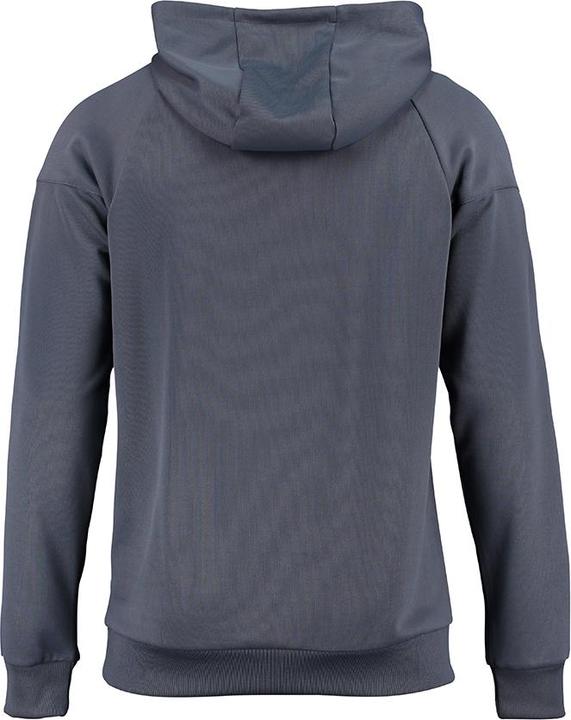 Actual product image hummel Authentic Charge Poly Hoodie (L)