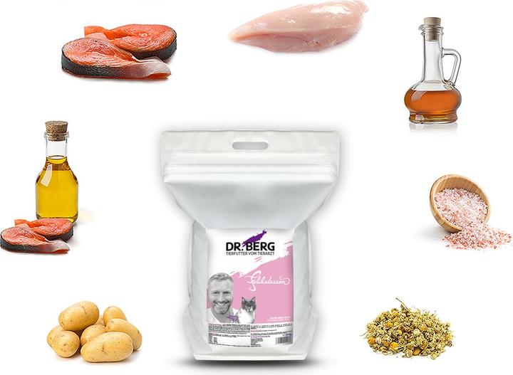 Actual product image Dr. Berg Dry Food Felikatessen Chicken+Salmon, 1 kg (Adult, 1 pcs., 1043 g)