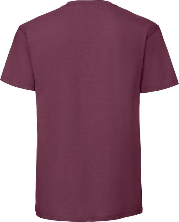 Image du produit Fruit of the Loom Tee-shirt premium (L)