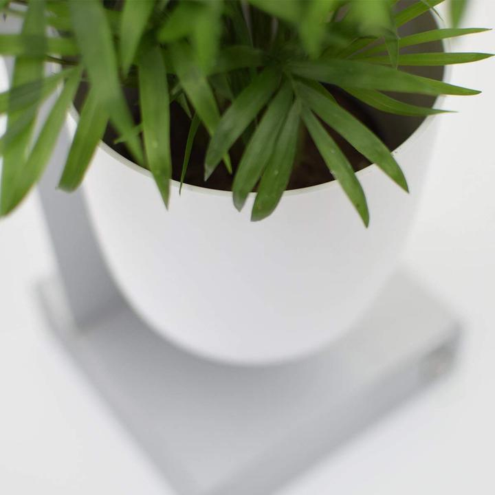 Produktbild Kalamitica Magnetischer Blumentopf