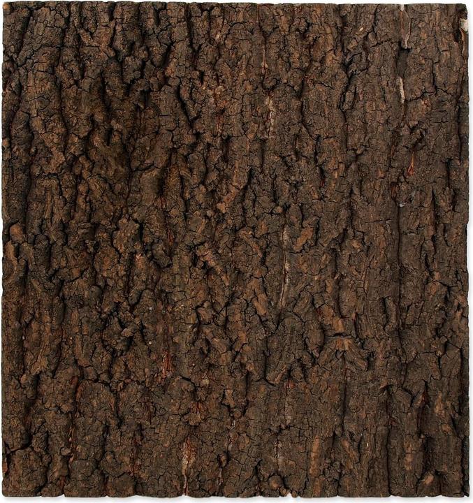 Image du produit Repti Planet Paroi arrière en liège 43.5 x 41 x 2 cm