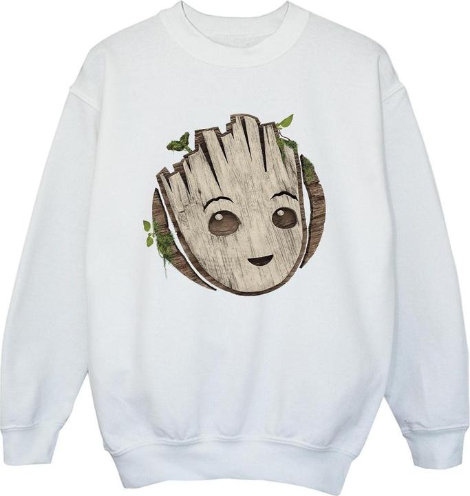 Image du produit - Sweat AM GROOT WOODEN HEAD - Garçon (152, 158)