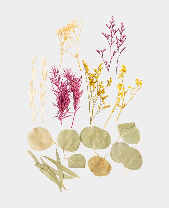 Actual product image I Am Creative Dried flower set (Dried flowers)