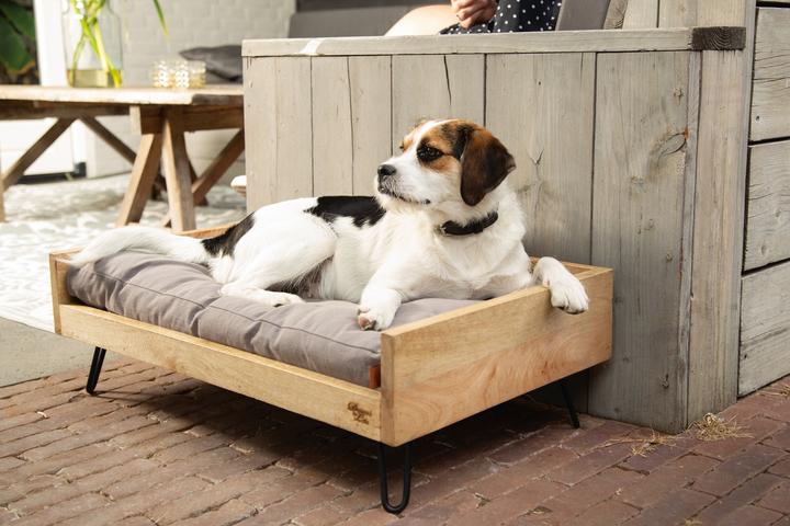 Image du produit Designed by Lotte Lit en bois Turana (Chien)