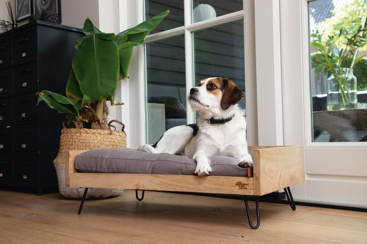 Image du produit Designed by Lotte Lit en bois Turana (Chien)