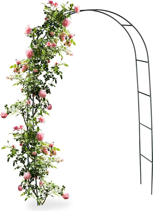 Image du produit Relaxdays Treillis en arc de cercle (38 cm, 140 cm)