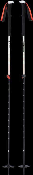 Image du produit Black Diamond Expédition 2 (95 - 145 cm)