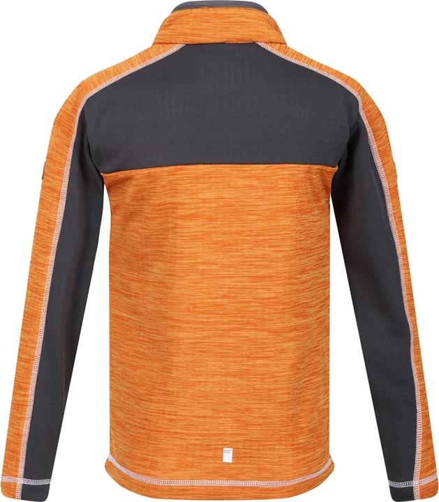 Actual product image Regatta Childrens/Kids Hewley Recycled Half Zip Fleece Top (164)