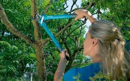 Actual product image Gardena Comfort lopping shears 500 AL