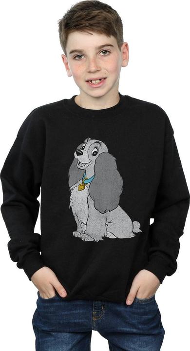 Actual product image Disney Boys Lady And The Tramp Classic Lady Sweatshirt (152, 158)