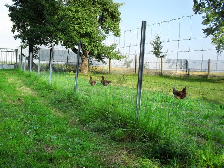 Produktbild Aquagart 500m Wildzaun Forstzaun Weidezaun Drahtzaun Knotengeflecht 180/16/15
