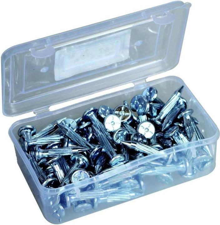 Produktbild Laserliner PK-Vermessungsnägel 50 x 6.35 mm 100 Stück