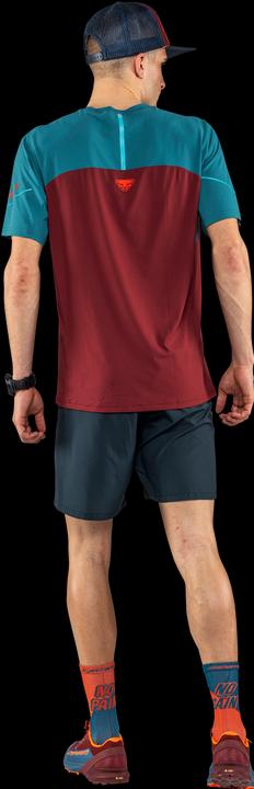Image du produit Dynafit Chemise à manches courtes Alpine Pro (XL)