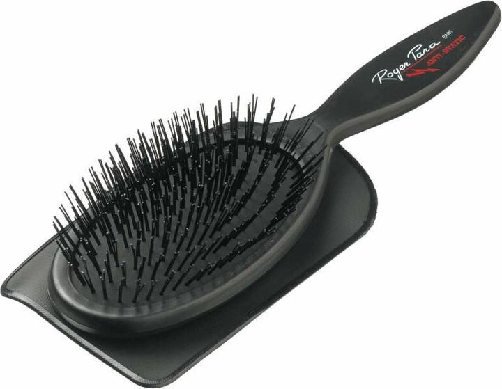 Actual product image Roger Para Brush 06.16.006 antistatic