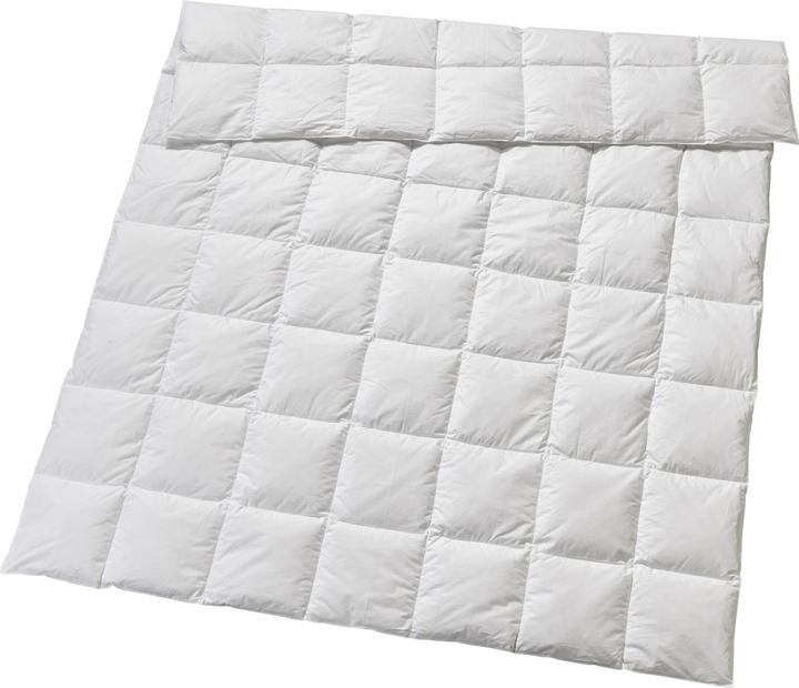 Immagine prodotto Billerbeck Edition Elwine Light (860 g, 240 x 240 cm)