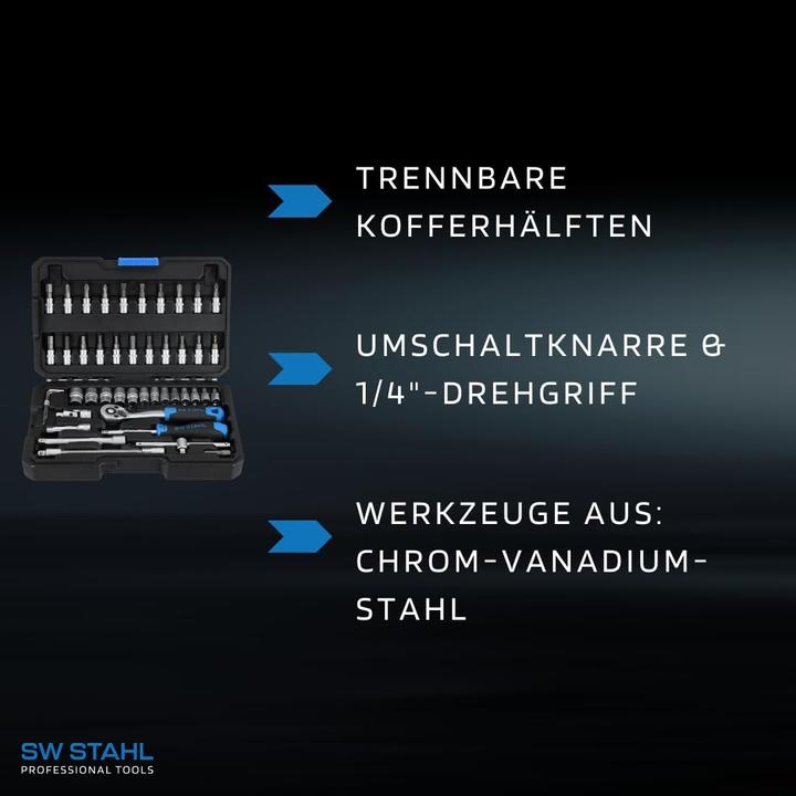 Energie-Label SW-Stahl 07748L Steckschlüsselsatz 1/4" Zoll Sechskant I Werkzeugkoffer 48-teilig I Knarrenkasten kl
