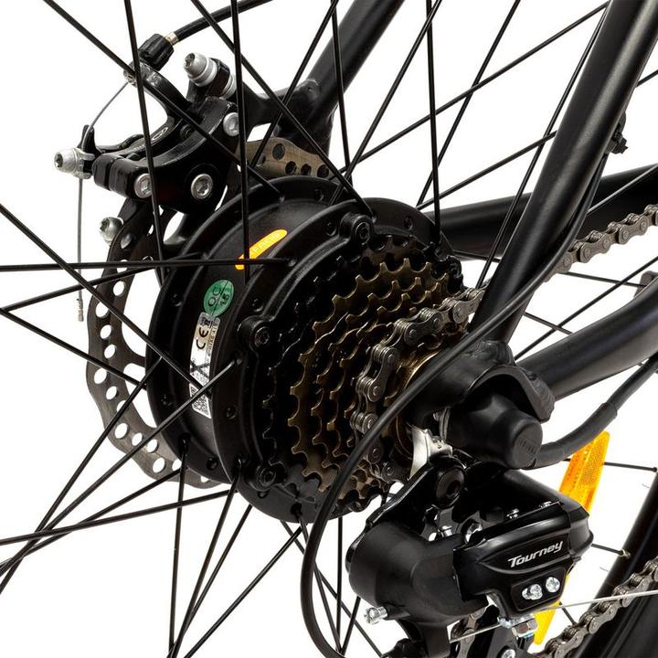 Actual product image Argento E-bike
