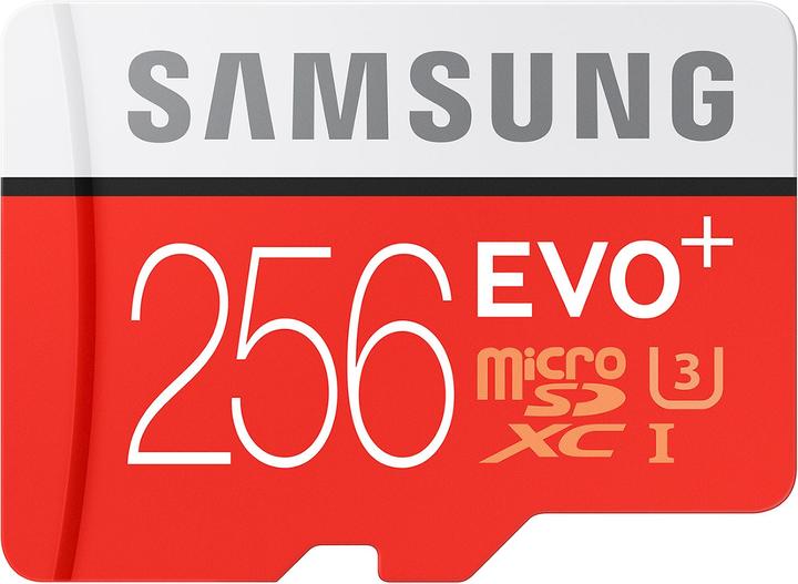 Samsung Evo Plus microSDXC UHS-I (256 Go, microSDXC, U1, UHS-I)