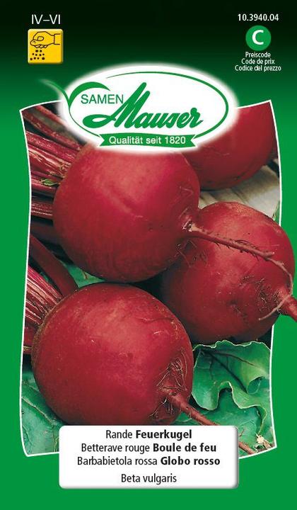 Image du produit Samen Mauser Betteraves boules de feu (Graines de légumes)