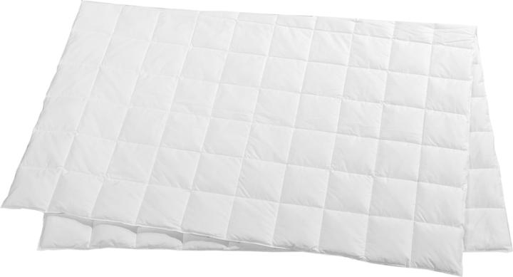 Produktbild Feelings by billerbeck Lou (380 g, 200 x 210 cm)