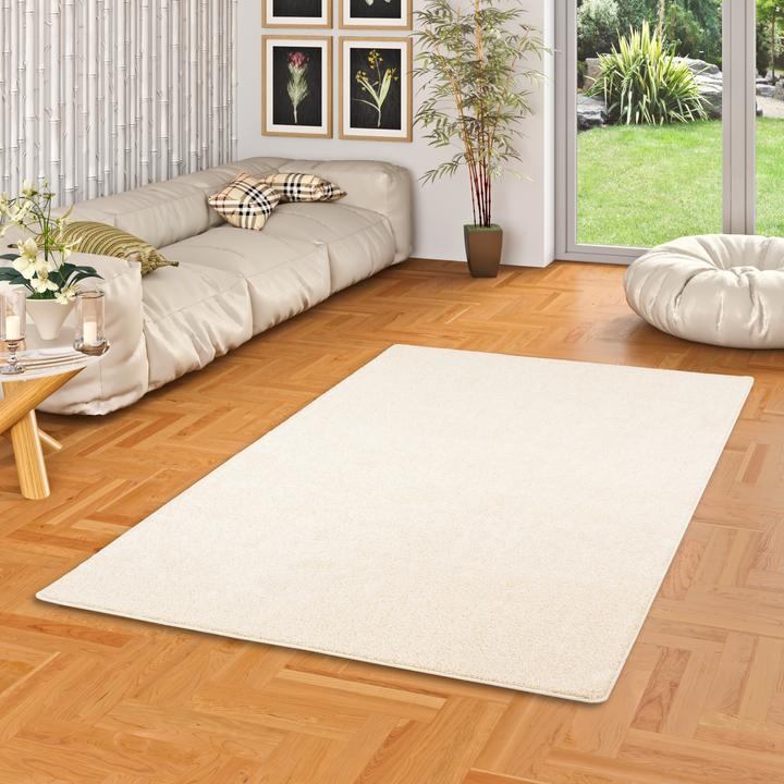 Produktbild Snapstyle Hochflor Velours Teppich Mona (80 x 160 cm)