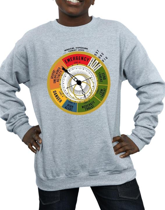 Produktbild Fantastic Beasts Threat Level Sweatshirt Jungen (140, 146)