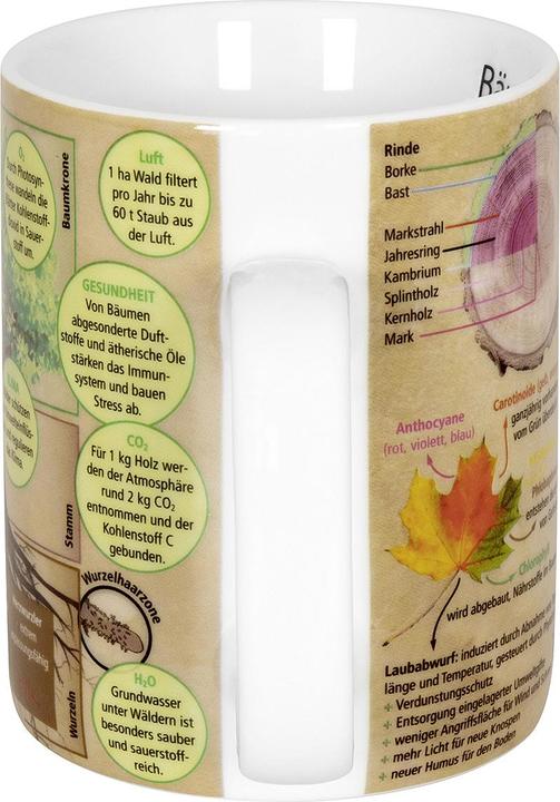 Actual product image Könitz Coffee mug knowledge trees 490 ml, 1 piece, Multicolor (490 ml, 1 x)