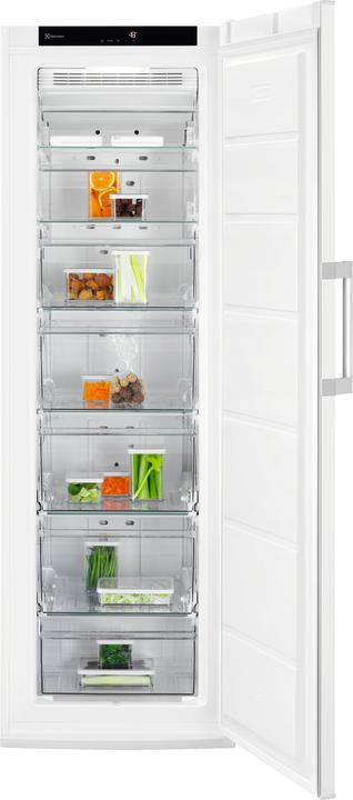 Image du produit Electrolux SG232N (Autonome, 253 l)