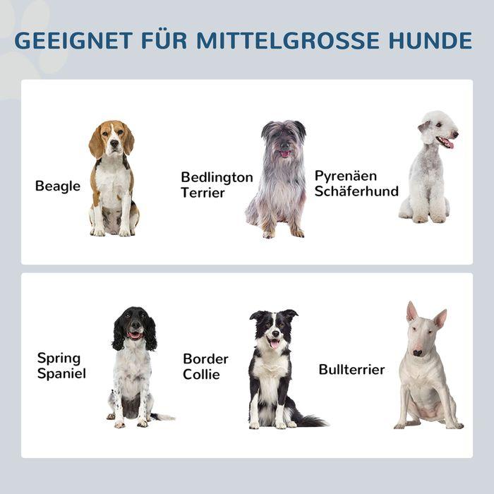 Immagine prodotto Swisshandel24 Ciotola per cani con cassetto, ciotola per cani rialzata, ciotola doppia per cani in acciaio inox (2 l)