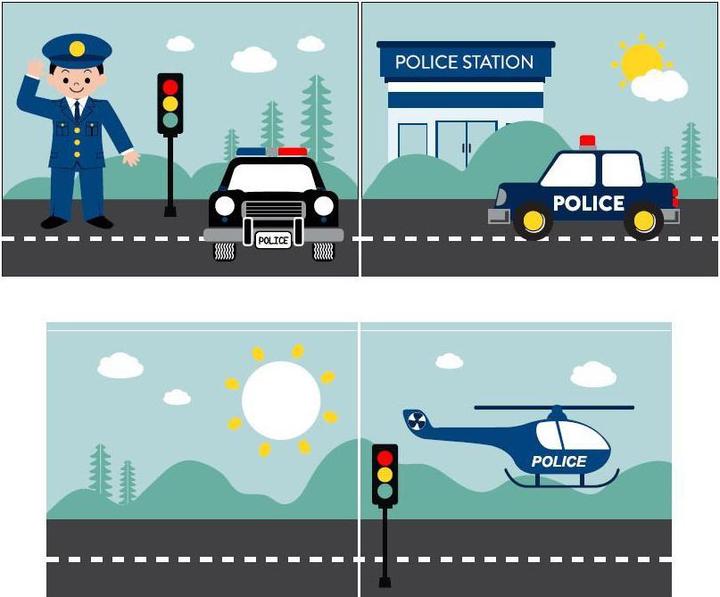 Actual product image Vipack Police play curtain