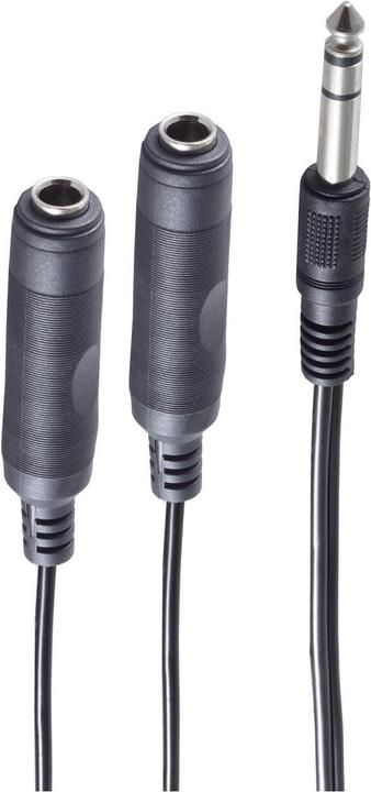 Image du produit Shiverpeaks BS30501 Câble audio 0,2 m 6.35mm 2 x 6.35mm noir (0.20 m)