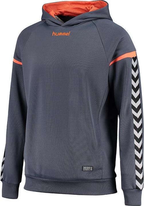 Actual product image hummel Authentic Charge Poly Hoodie (L)