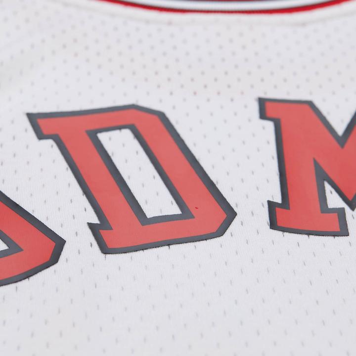 Image du produit Mitchell & Ness Swingman Mesh Jersey Chicago Bulls 1997 Dennis Rodman - L (L)