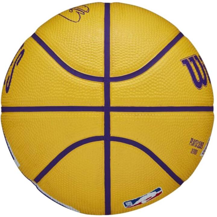 Produktbild Wilson Nba Player Icon Mini Bskt Curry