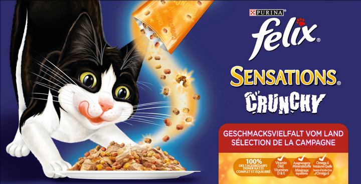 Actual product image Felix Sensations (Adult, 10 pcs., 85 g)