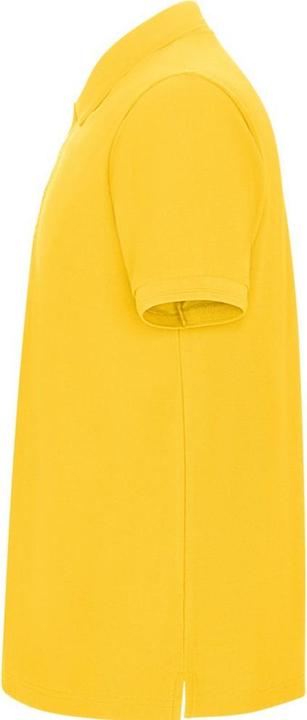 Image du produit Alpinia - Polo PEGASO PREMIUM - Homme (L)