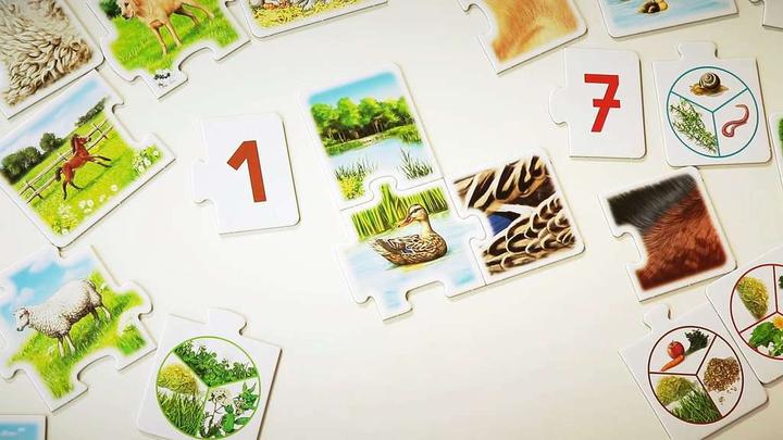 Actual product image tiptoi All my animals (German)