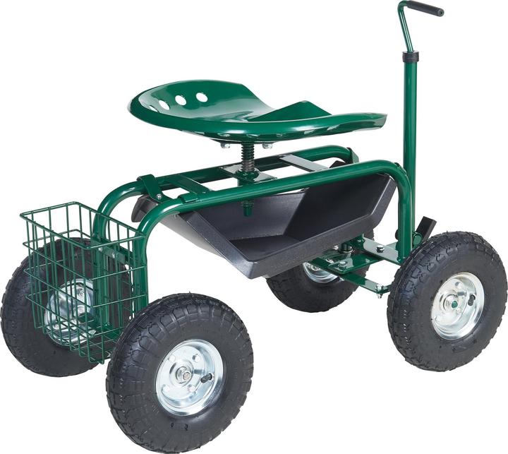 Actual product image Pro-Tec Buxton