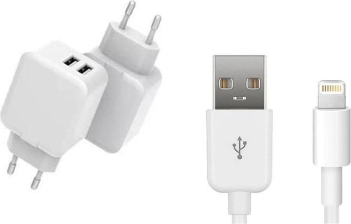 CoreParts Chargeur pour iPhone & iPad (12 W)