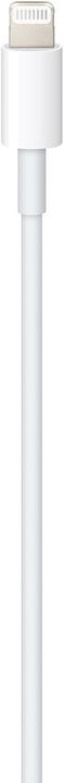 Actual product image Apple USB-C - Lightning (1 m, USB 2.0)