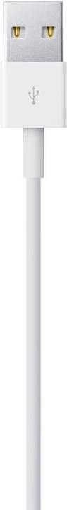 Image du produit Apple Lightning – USB A (1 m, USB 2.0)