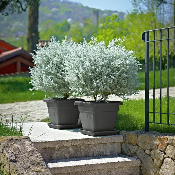 Actual product image Euro3plast Planter (46 cm)