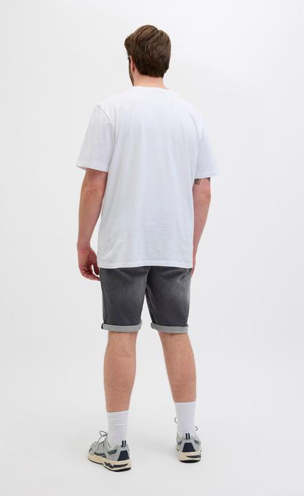Image du produit Jack & Jones JJIRICK JJICON I.K. SHORTS GE 062 SN PLS (W42)